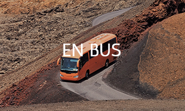 excursiones-en-bus_ES